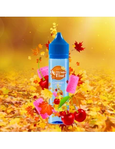 Vapy Autumn Time Longfill...