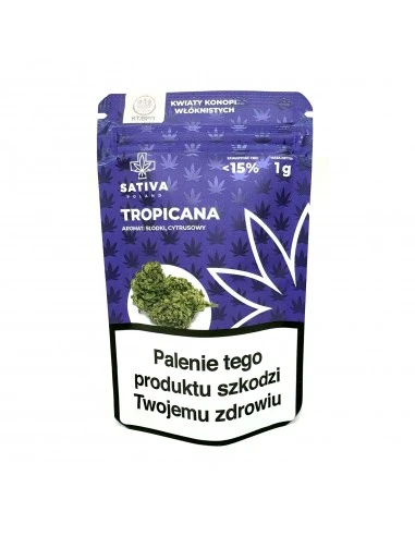 Sativa Susz Konopny Tropicana 1 g
