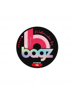 Bagz Extreme Woreczki...