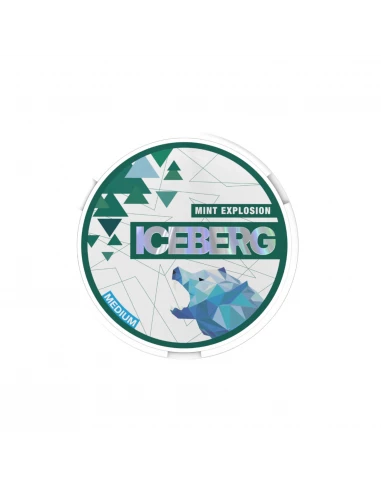 Iceberg Woreczki Nikotynowe Mint...